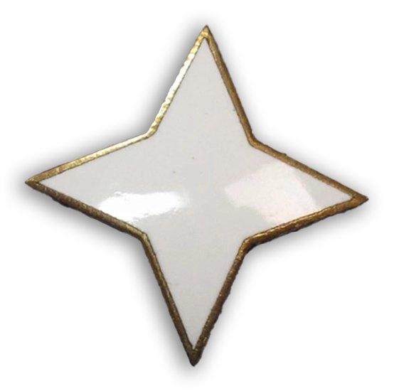 Yleiskurssimerkkiä kutsutaan myös kurssitähdeksi muotonsa vuoksi. Kurssimerkit olivat valkoiseksi emaloituja ja aluksi ne valmistettiin hopeasta.