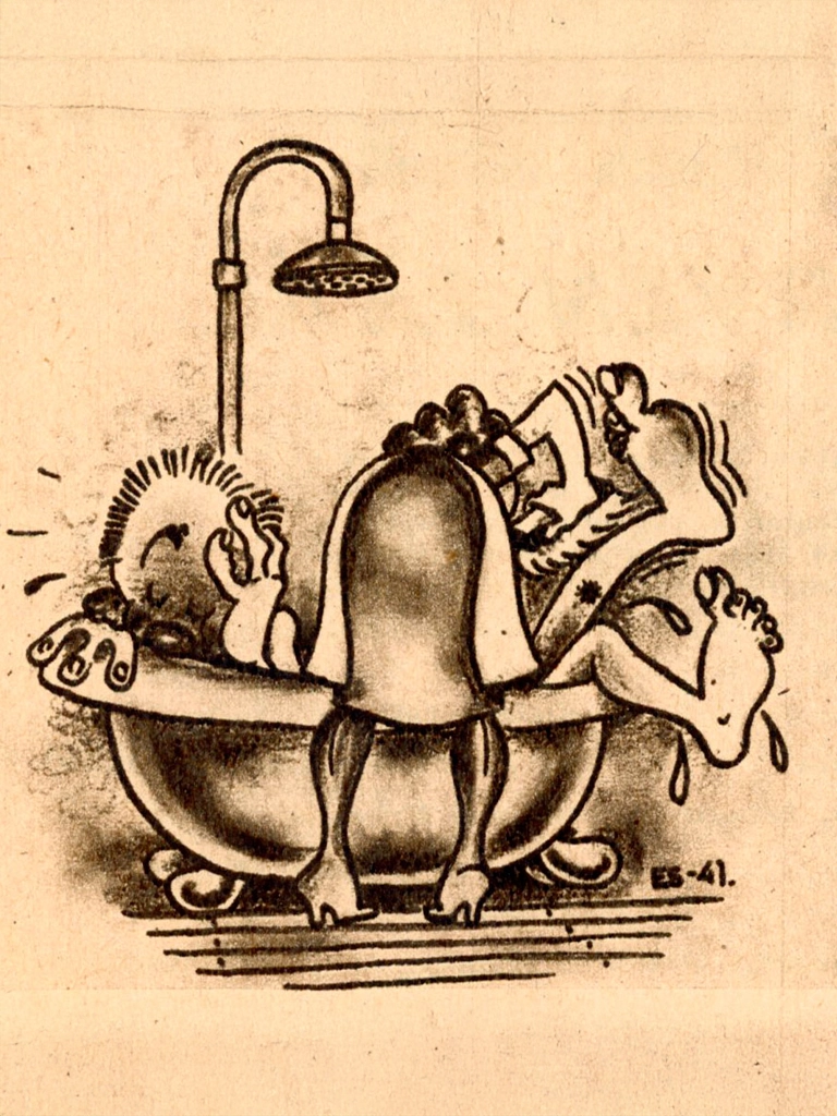 Unelmalotan edustaja on tavallisimmin kanttiinilotta, mutta toisinaan myös lääkintälotta, joka esitetään hemaisevana hoitajattarena.