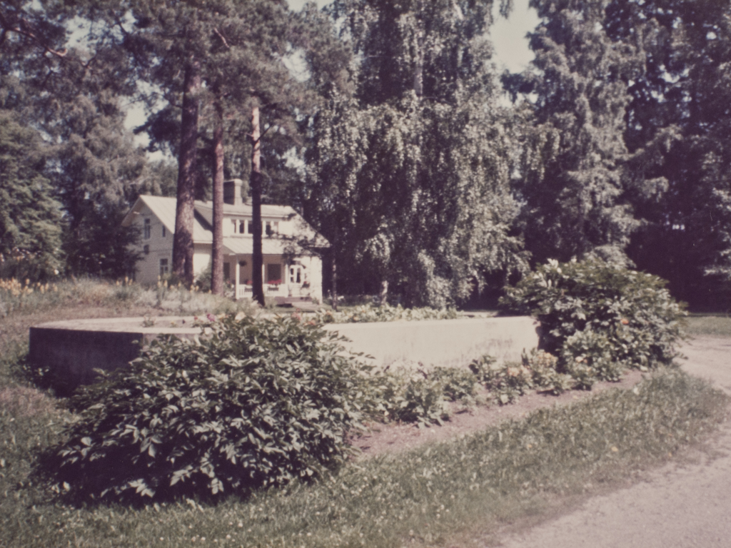 Syvärannan puustoa ja kukkaistutuksia 1950-luvulla.