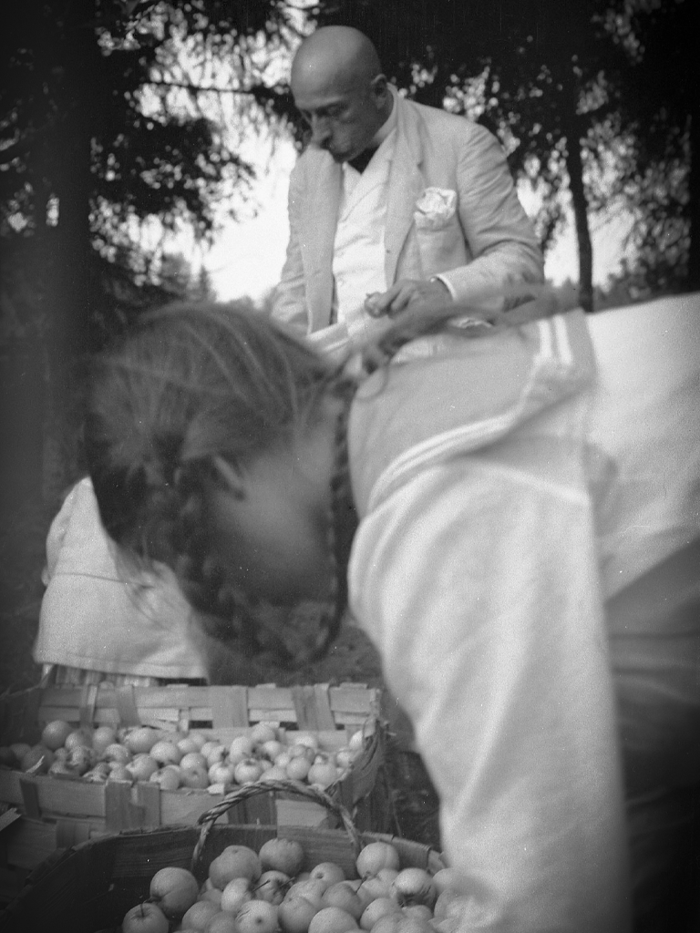 Lapset sadonkorjuussa, Hansen family archive.